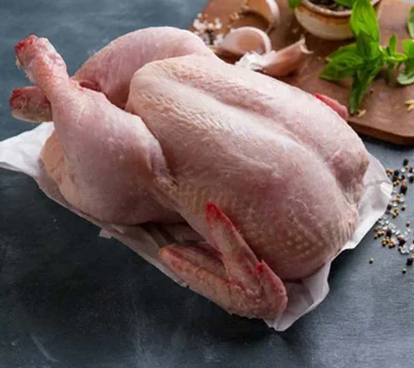 گوشت مرغ